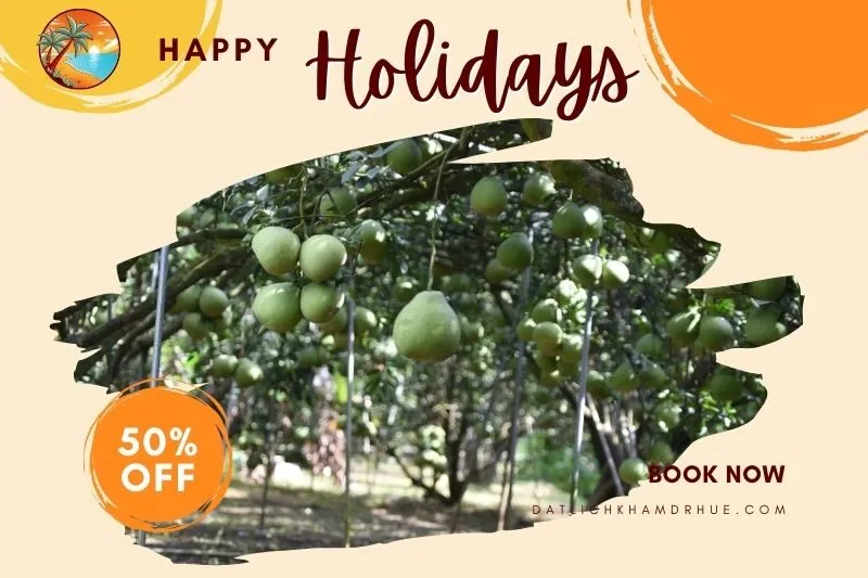 Làng bưởi Năm Huệ Tân Triều